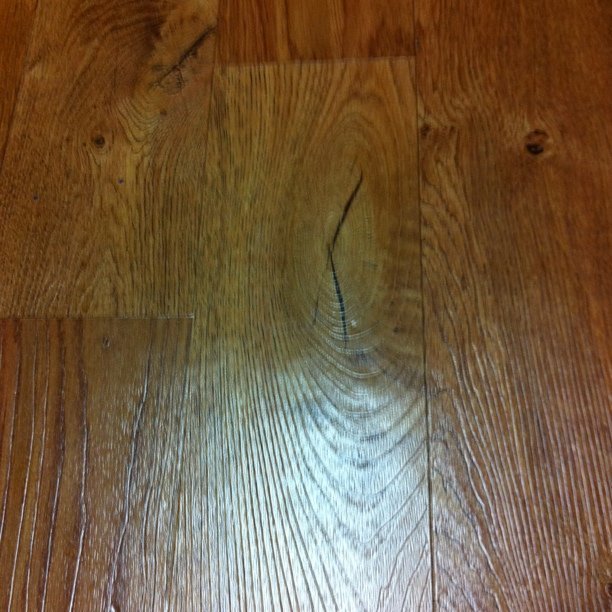 Photo by Sori Yun on October 19, 2010.