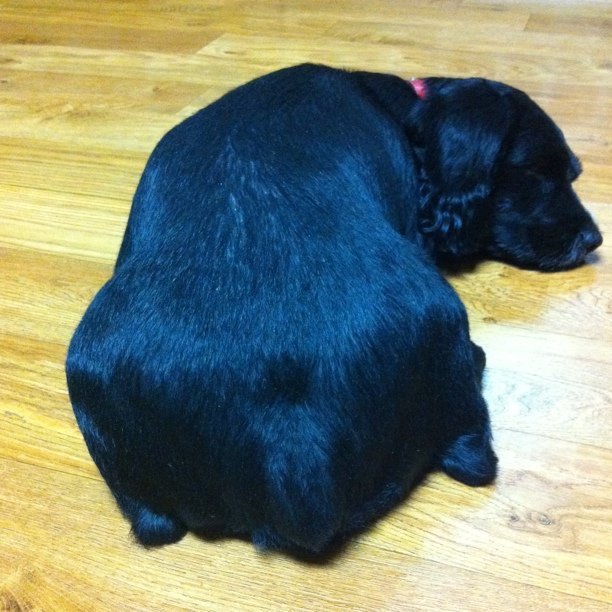 Photo by Sori Yun on November 01, 2010.