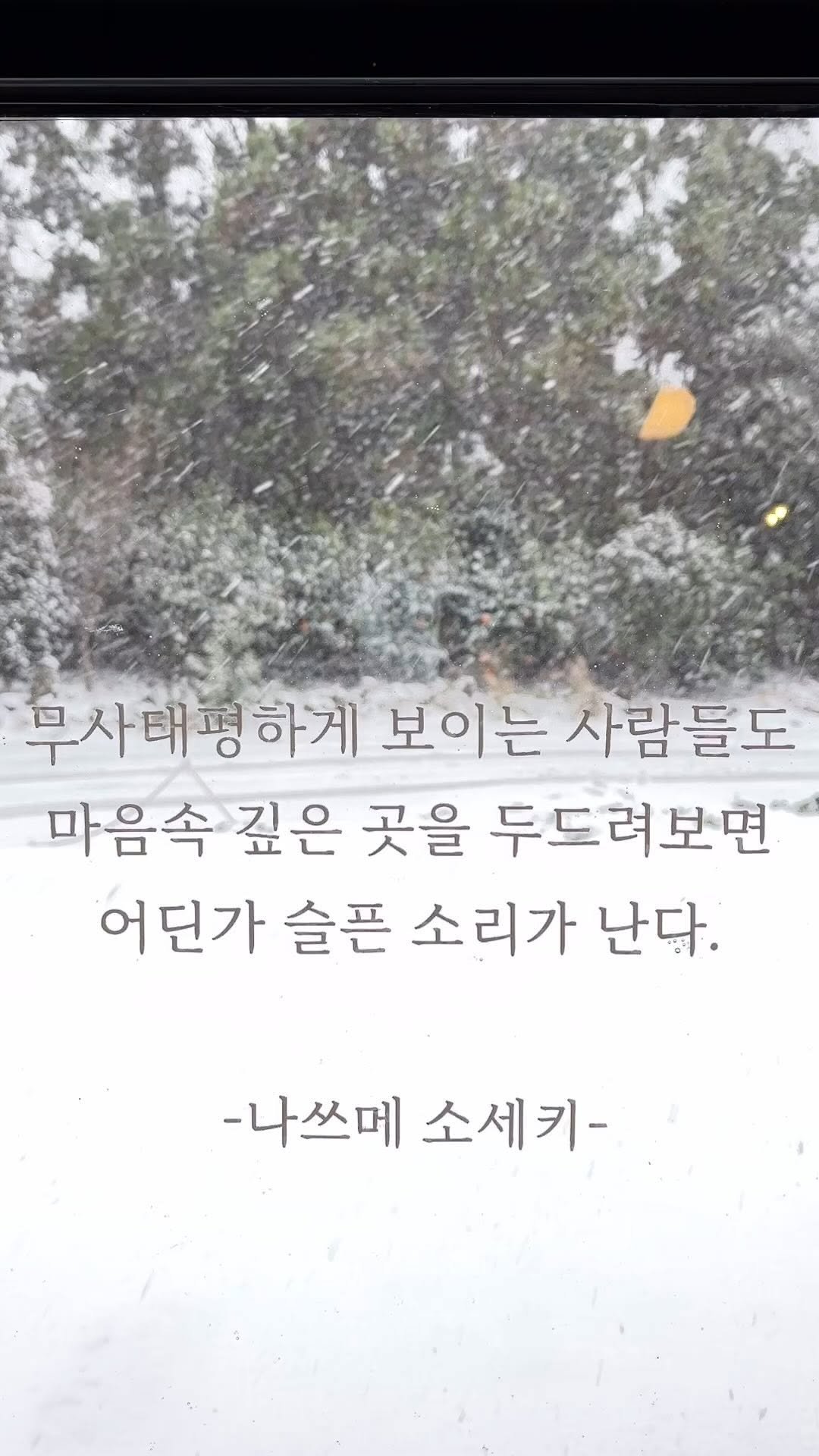 sorisomoonbooks 게시물 이미지: 당신의 마음을 읽는 책방, 
책방 小里小文 (소리소문)

.
.
#책방소리소문...