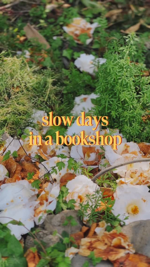 sorisomoonbooks 게시물 이미지: 책방 나들이하기 좋은 나날들
2026.4. 24 소리소문 풍경