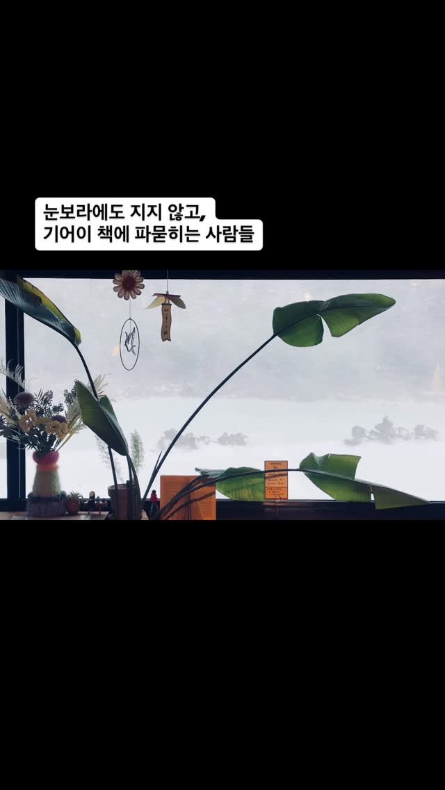 sorisomoonbooks 게시물 이미지: 그래도 오늘은 웬만하면 움직이지 않는 걸 권합니다 😅

#눈오는제주
#책방소리소문