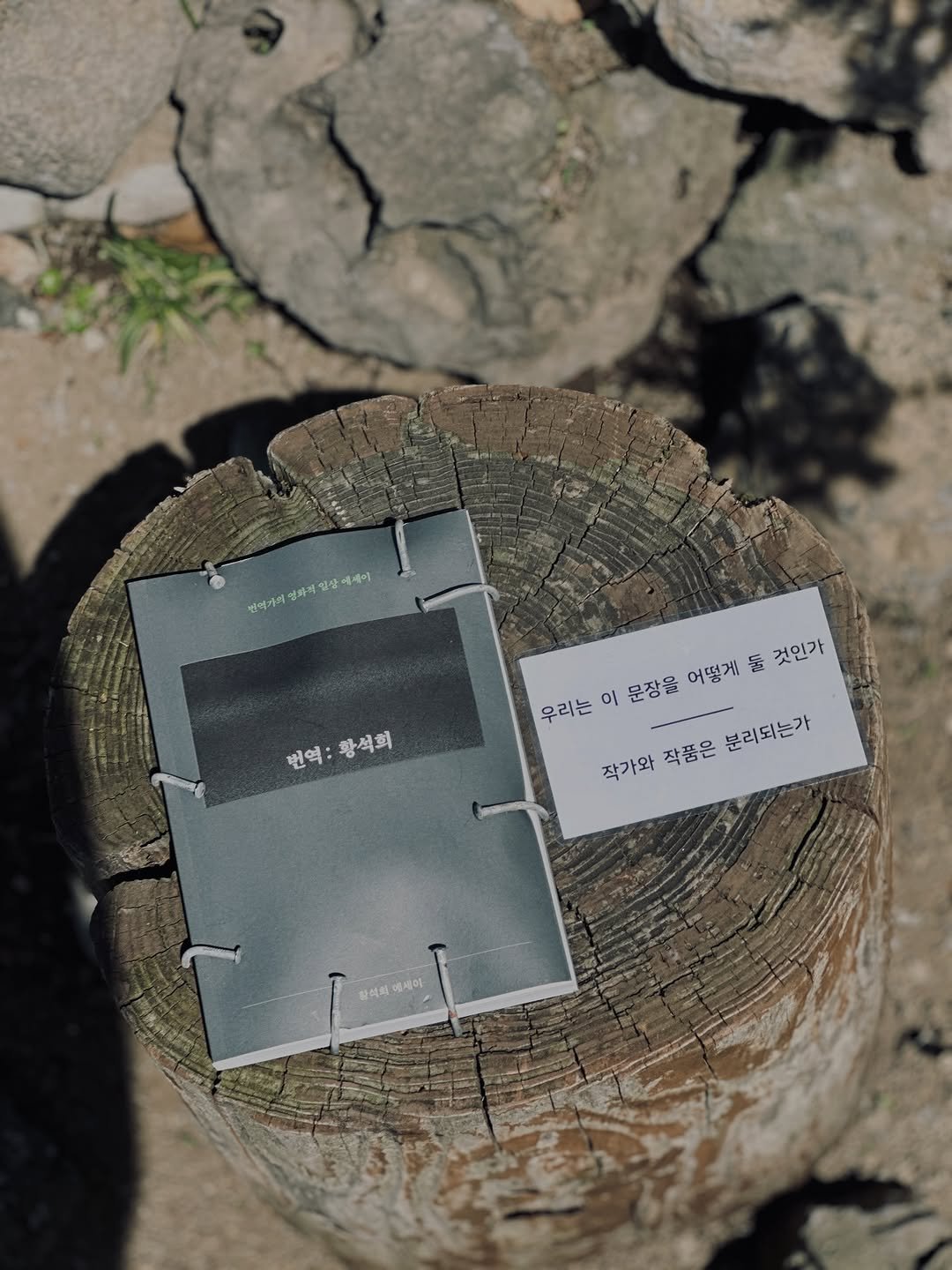 Photo by 책방 소리소문 on April 15, 2026. May be an image of book, hand cream and text that says '인화떼 성자씨일상에레이 일상 번떡가리 번역: 번역:황석희 :3 황석희 둘 둘것인가 金 것인가 우리는 이 문장을 어떻게 작가와 작품은 작가와작품은분리되는 분리되는가 할리의 제이'.