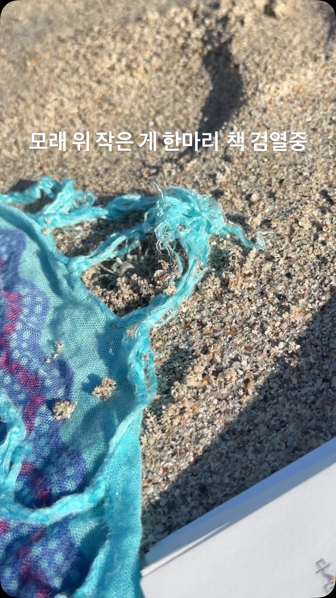 sorisomoonbooks 게시물 이미지: 이 문장 약간 비문인데요? 라는 듯 ㅋ
#제주해변 #해변독서 #제주바다 #jeju