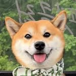 sosimbamtol 인스타그램 프로필 사진