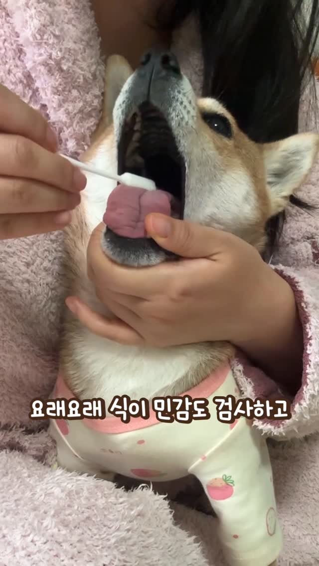 sosimbamtol 게시물 이미지: 면봉으로 낼름낼름!
포옹 식이 민감도 검사한 후에
밤빵이가 안 맞던 음식들을...