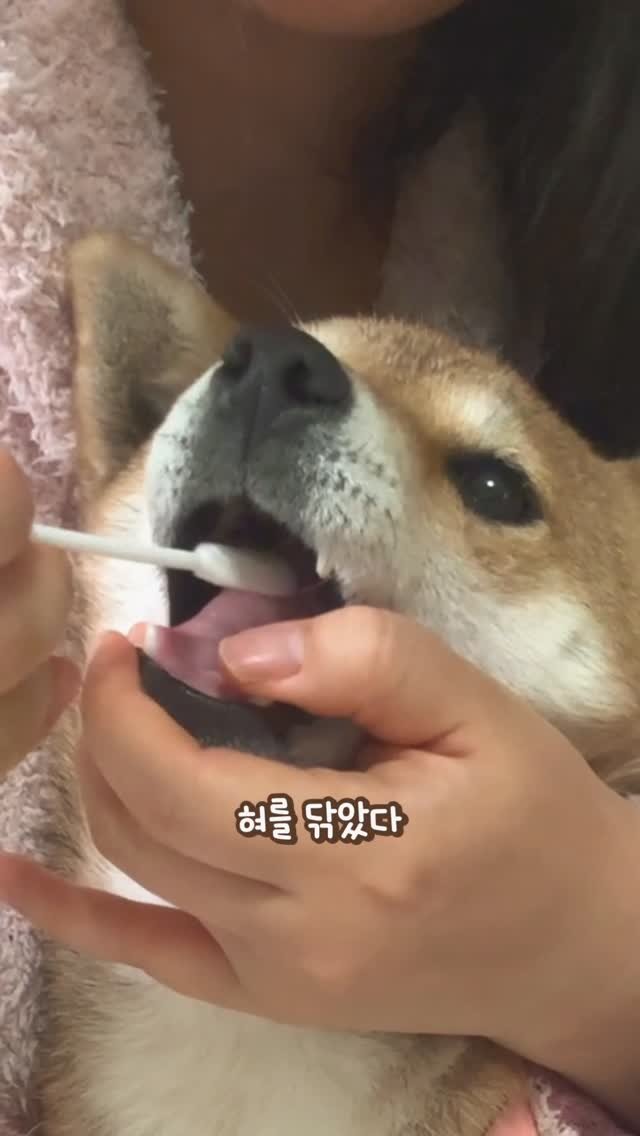 sosimbamtol 게시물 이미지: 밤빵이랑 엄마랑 집에서 식이 민감도 검사 했어요! #광고 

🩵포옹...