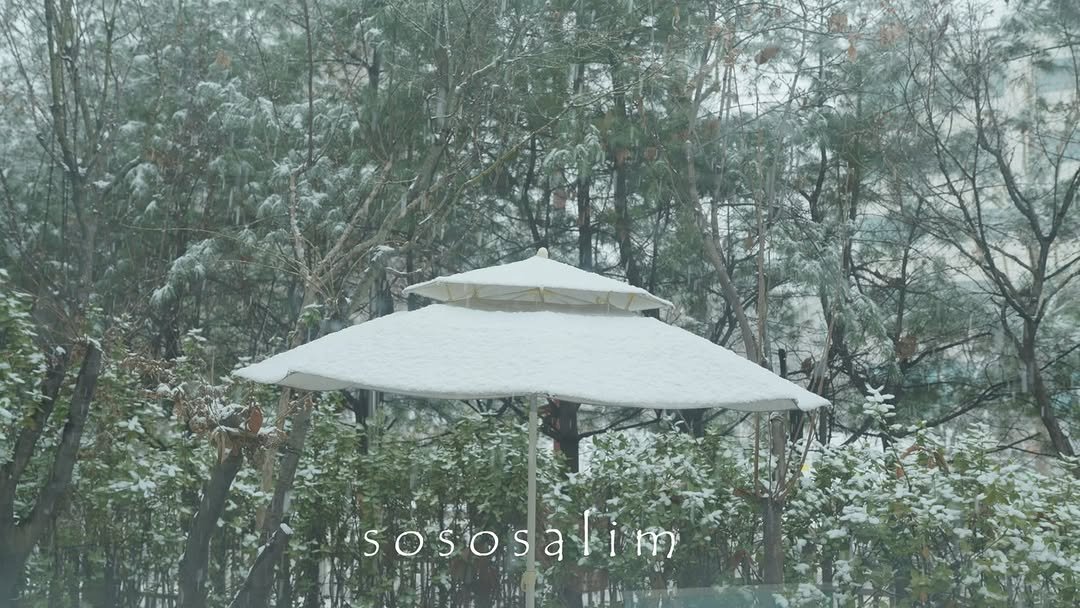 sososalim_home 게시물 이미지: 2024년 1월 1일, 올해 첫 유투브 영상 올리며 시작 :)

올해 다짐 중에...