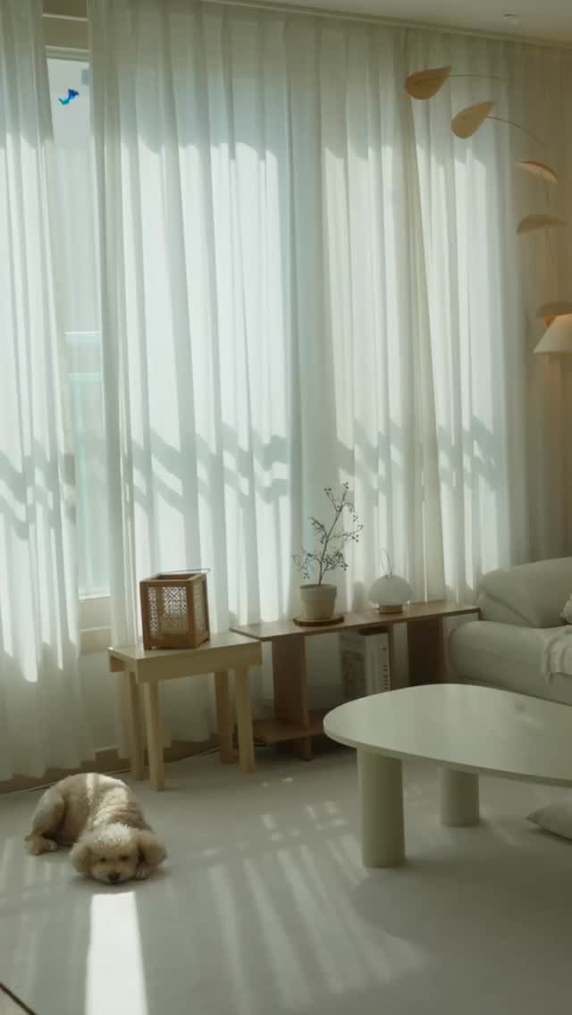 sososalim_home 게시물 이미지: 청소 하다보면 왠지 느껴지는 시선👀

청소하다가 눈만 움직이며 쳐다보는 곰돌이가...