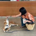 _from_the_sun 프로필 사진