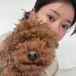 choijjo 프로필 사진