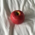 hongsaea 프로필 사진