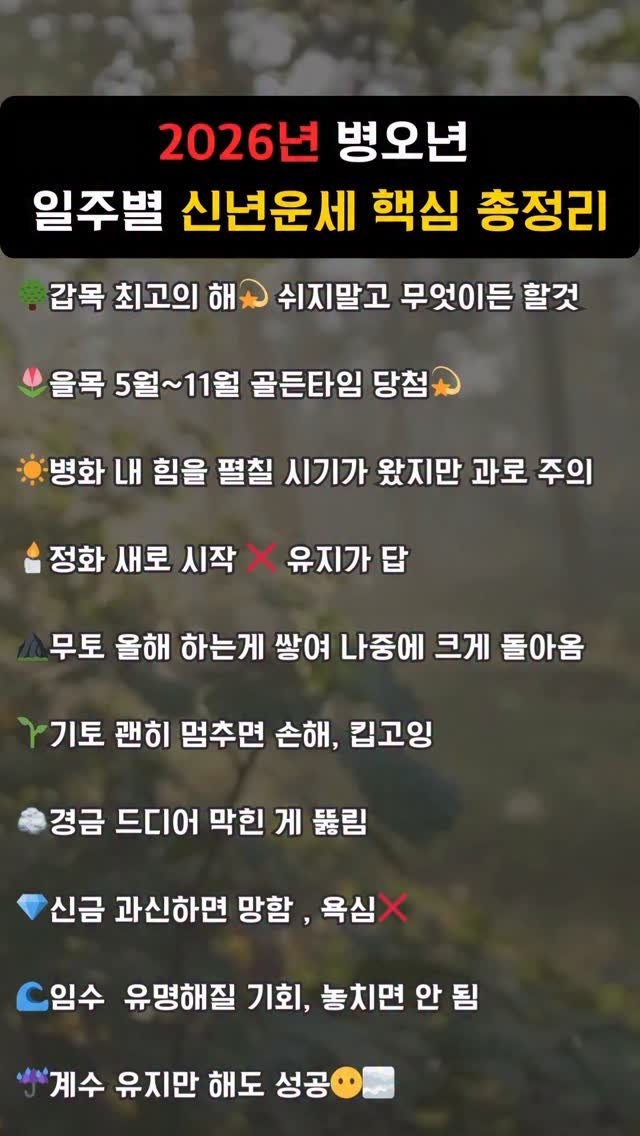 soulmeet_official 게시물 이미지: 2026년 병오년은 다 똑같이 흘러가지 않아요.
누군가는 쉬어야 하고, 누군가는...