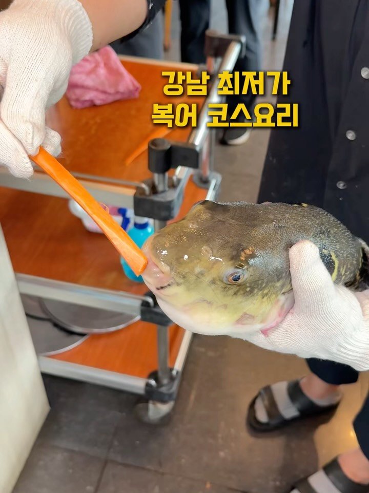 sowon_yam2 게시물 이미지: 강남 최저가 복어 코스요리

🧞‍♀️🧞‍♂️
여기 강남 맞아?
라는 소리...