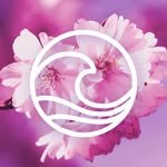 lifehouseseoul 프로필 사진