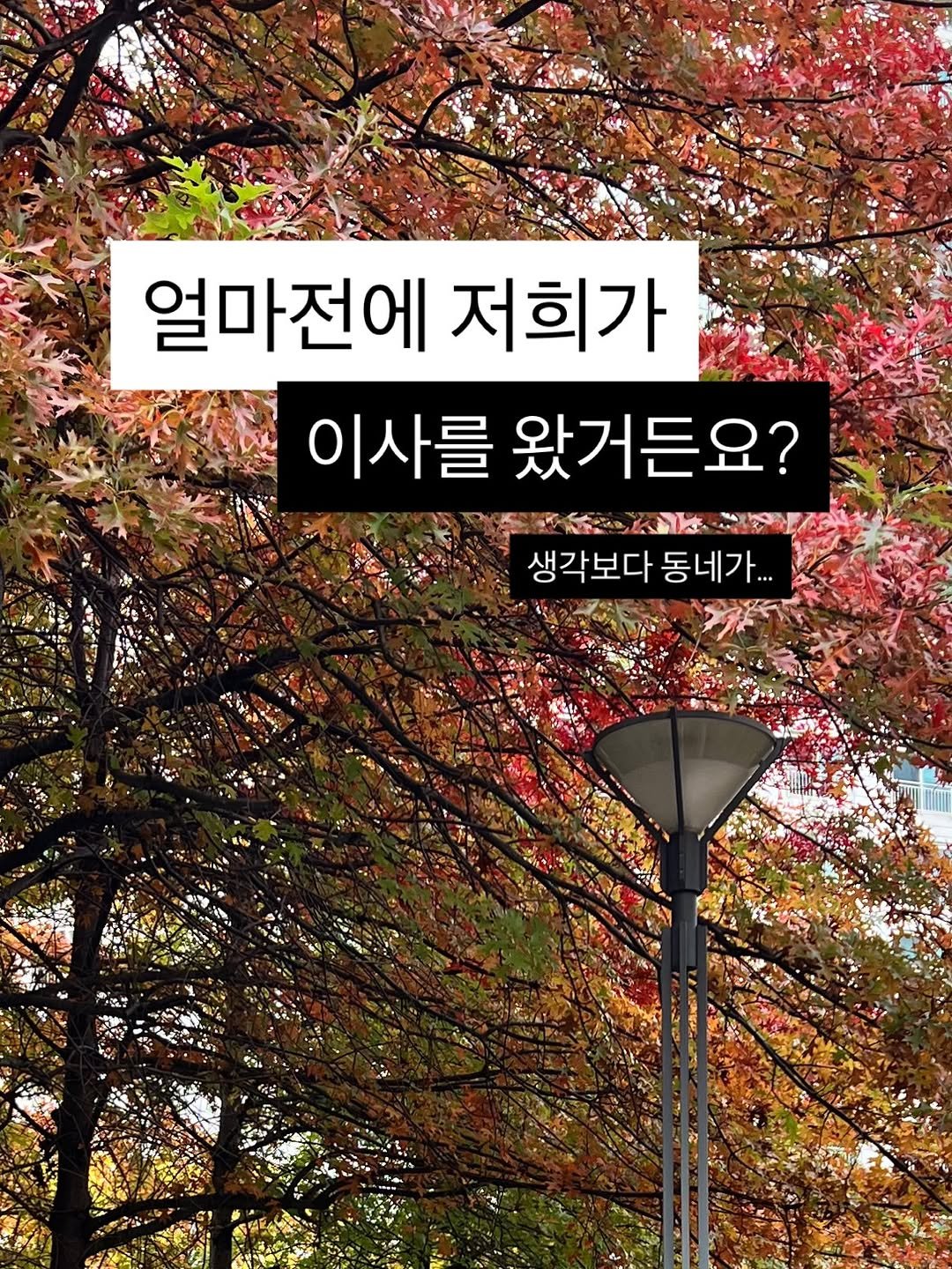 Photo by 육아 메이트 소이쌤 | 성소라 on December 16, 2025. May be an image of poster, outdoors and text that says '얼마전에 저희가 이사를 왔거든요? MOLEN 생각보다동네가... 생각보다 동네가...'.