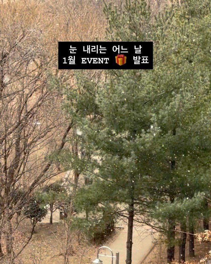 soy_ssam_ 게시물 이미지: 입춘 후 날씨가 풀린다 했는데,
눈이 내리네요 ~~⛄️

내 사랑 소원님들~!
이런...