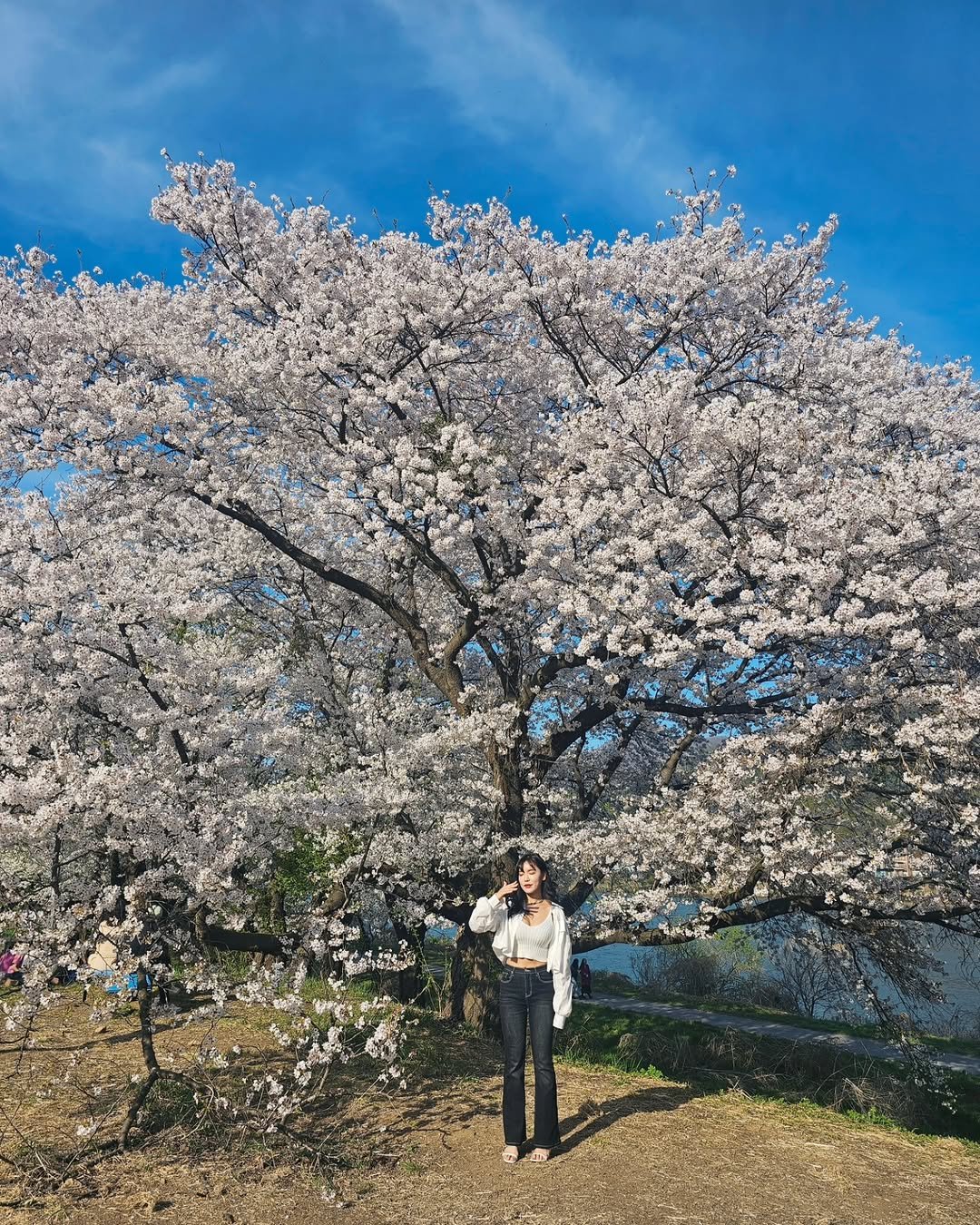 Photo by 김소연 on April 09, 2024.