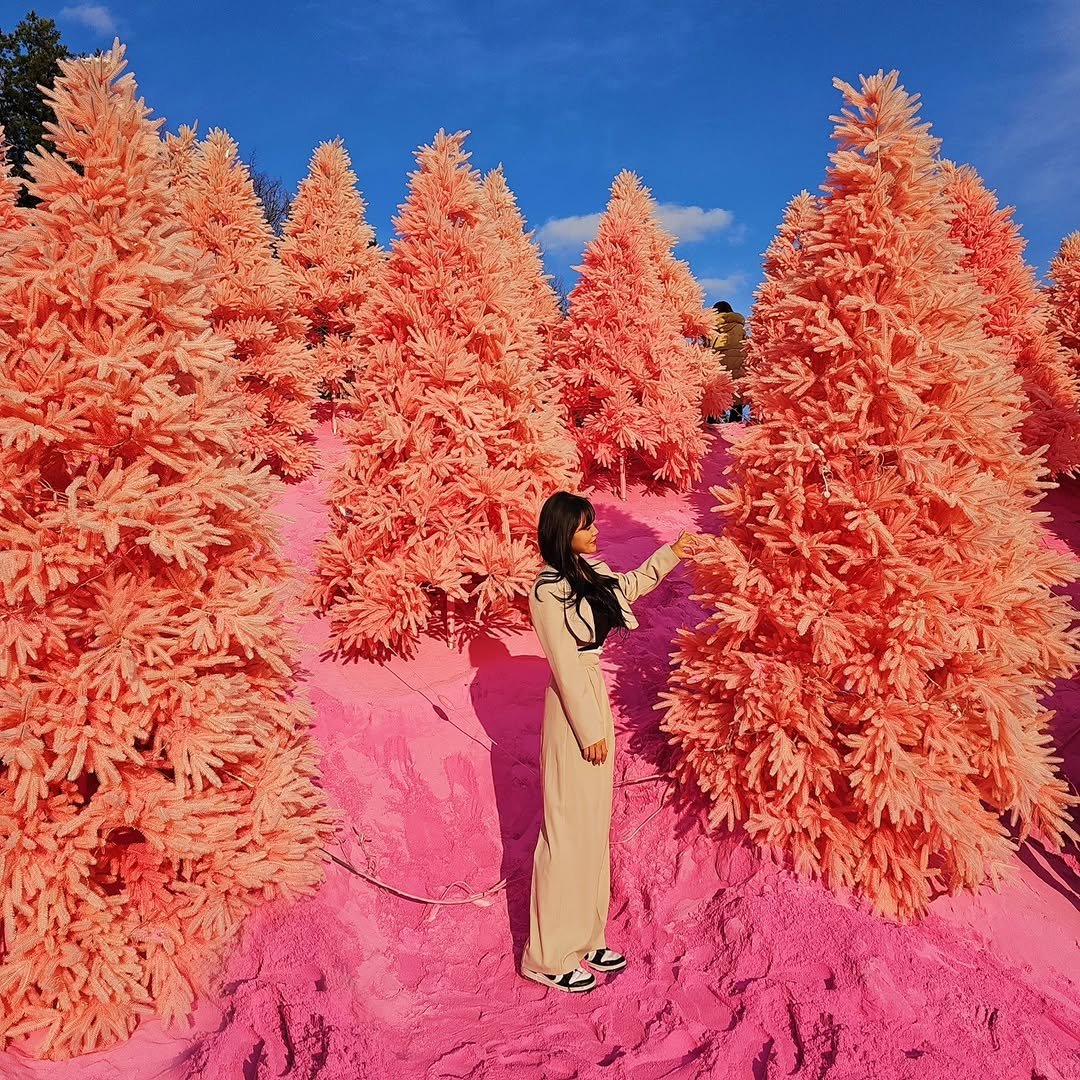 Photo by 김소연 on February 27, 2024.