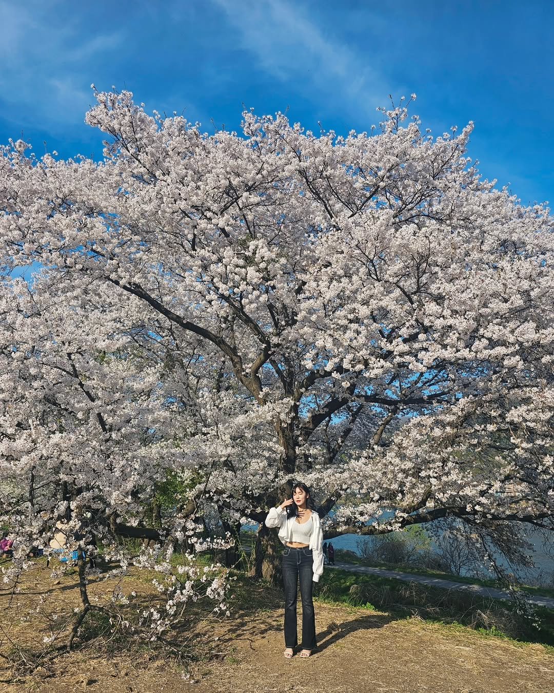 soyeon_0611 게시물 이미지: 날씨요정이 다했다

#대성리벚꽃길  #대성리역 #휴무 #미용사일상💇🏻‍♀️...