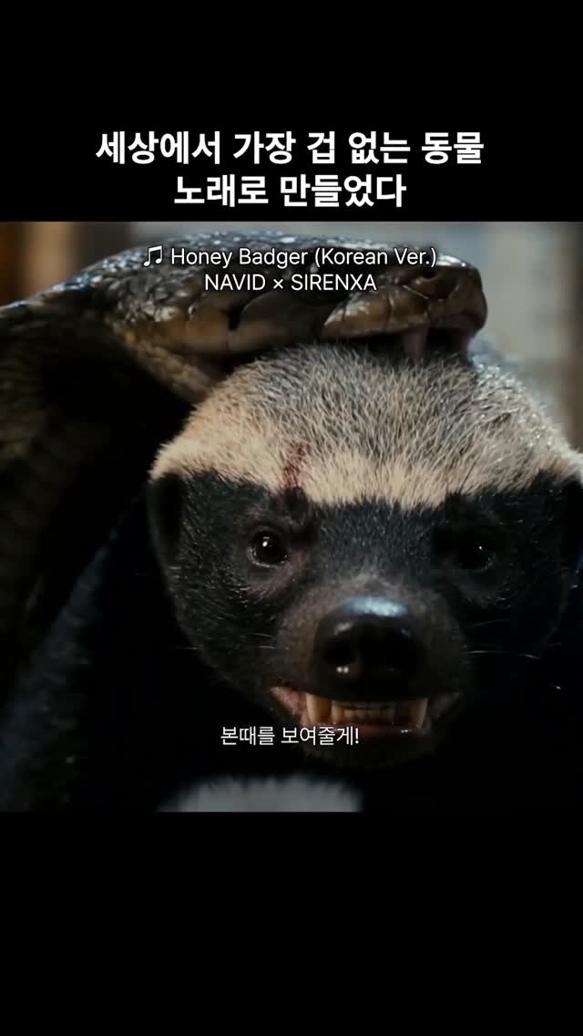 soyeonavid 게시물 이미지: 벌꿀오소리 좋아하는 사람 태그! 🦡

혹시 ‘벌꿀오소리(Honey Badger)’...