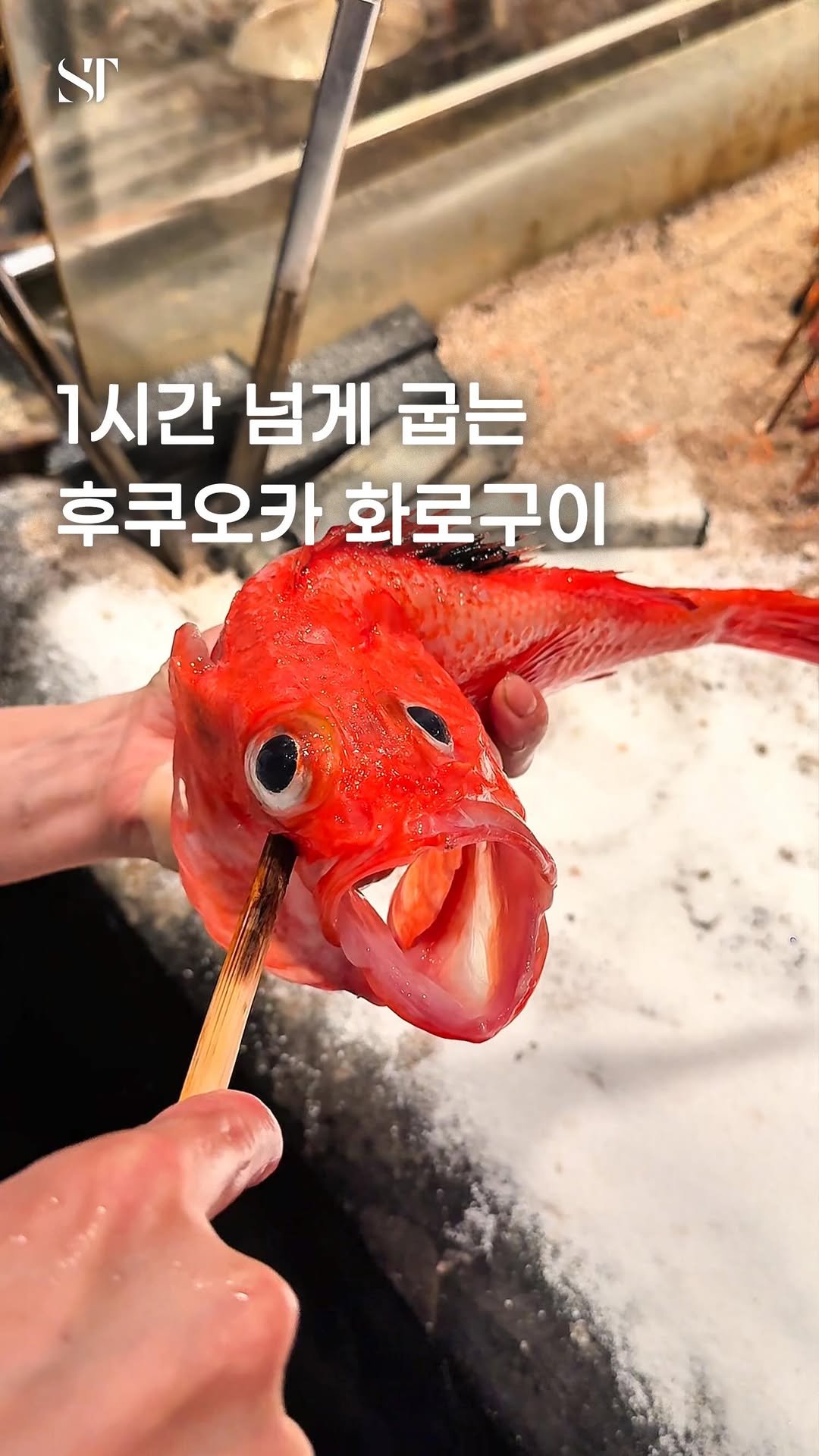 space_tamnik 게시물 이미지: 후쿠오카의 화로 원시구이 전문점입니다.
소금을 골고루 뿌리는 모습이 유명한데요....