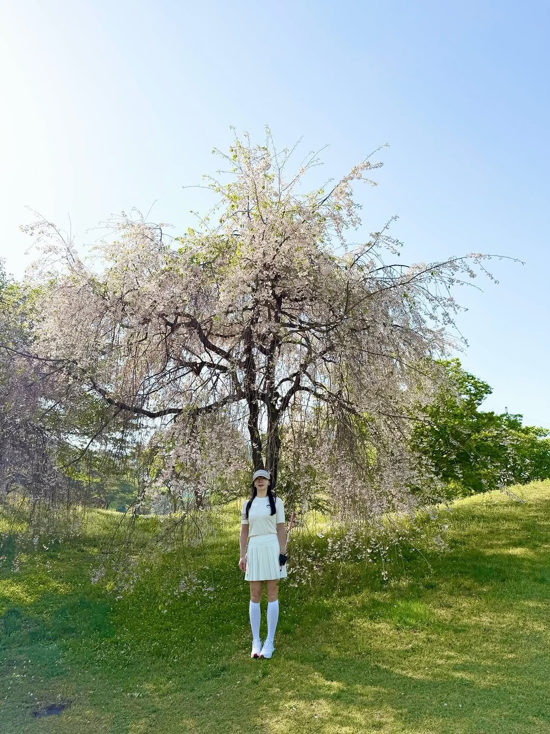 Photo by emilykim0415 on April 26, 2026. May be an image of stone-fruit tree, jacaranda, shadbush, grass and text.