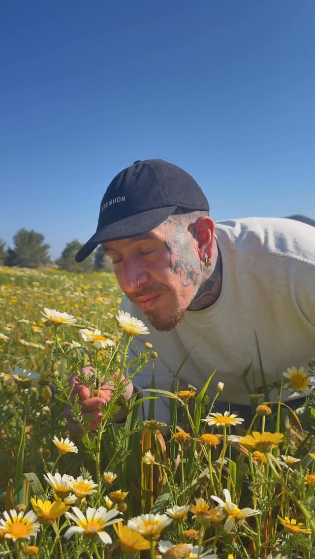 spicymoustache 게시물 이미지: Allergies season is around the corner, this is...