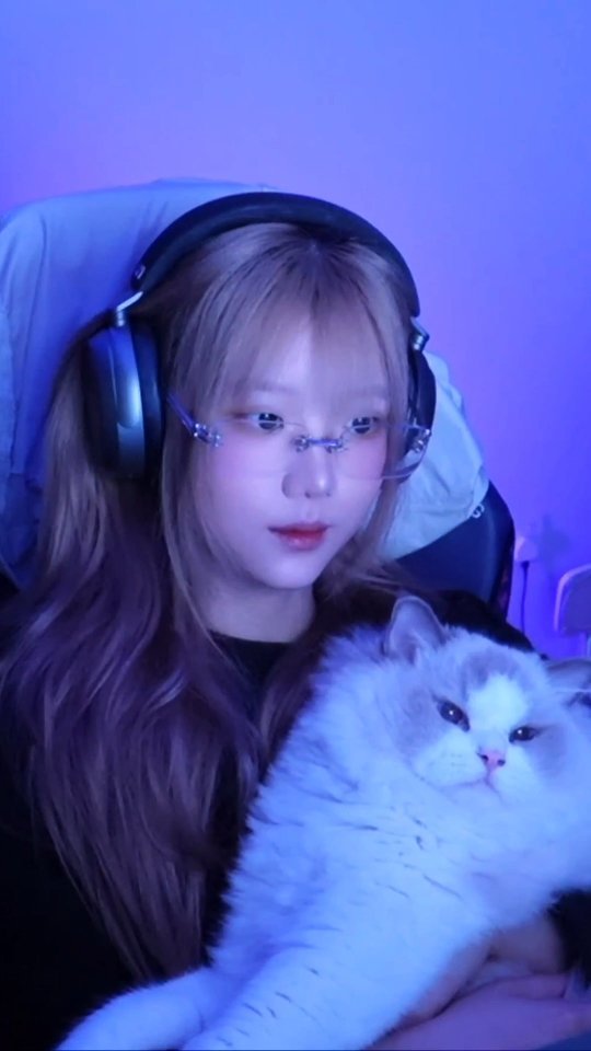 spicyuuu 게시물 이미지: My cat gave me a new short stream record of...