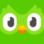 duolingo 프로필 사진