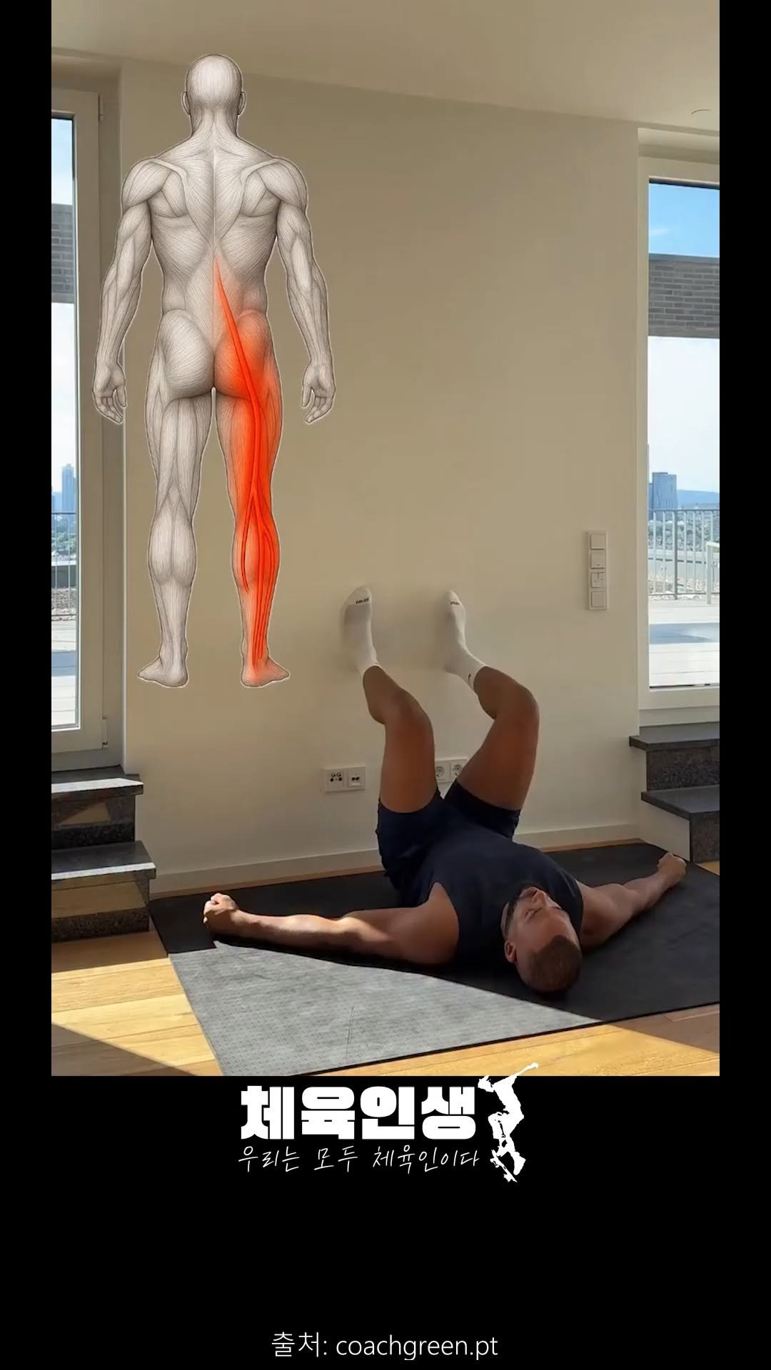 sports_l_i_f_e_ 게시물 이미지: 📍[운동 팁] 좌골신경통? 이렇게 풀어보세요!
#Sciatica #좌골신경통...