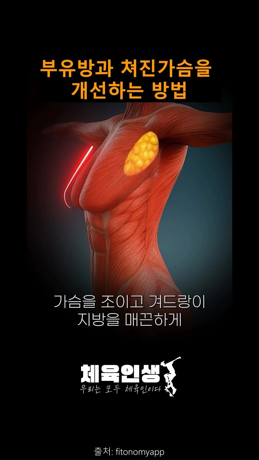 sports_l_i_f_e_ 게시물 이미지: 💪 여자들도 꼭 해야 하는 가슴 운동 5가지 이유

1️⃣ 부유방 제거 & 매끄러운...