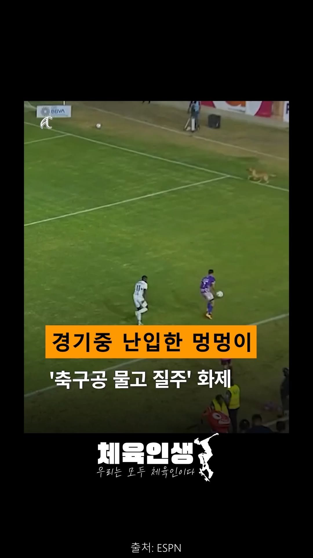 sports_l_i_f_e_ 게시물 이미지: 해당 장면은 멕시코 리그 경기 중 발생한 상황으로, 플레이가 진행되던 도중 갑자기...
