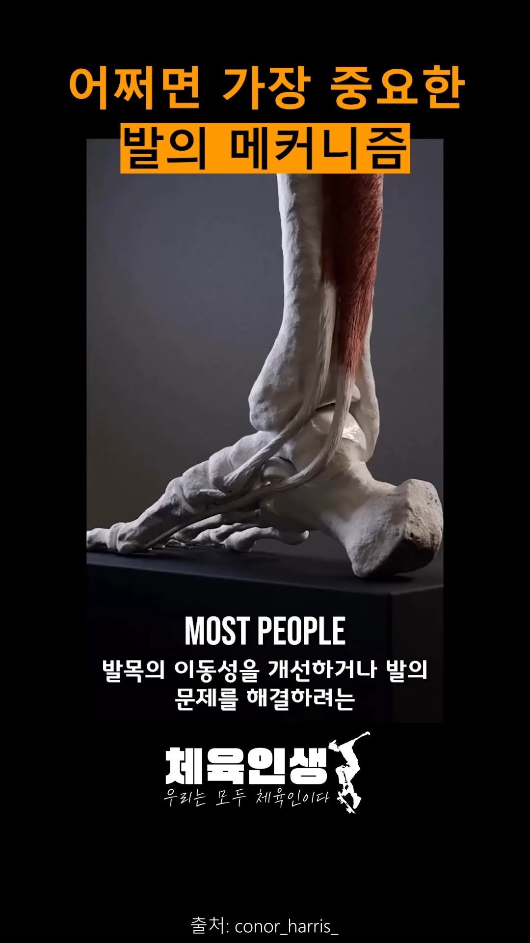 sports_l_i_f_e_ 게시물 이미지: 🔐발목이 자꾸 뻣뻣하거나 불안정하신가요?
‘큐보이드(Cuboid)’ 뼈를...