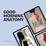goodmorning_anatomy 프로필 사진