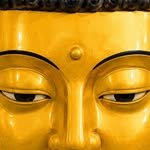 kimbuddhaa 프로필 사진