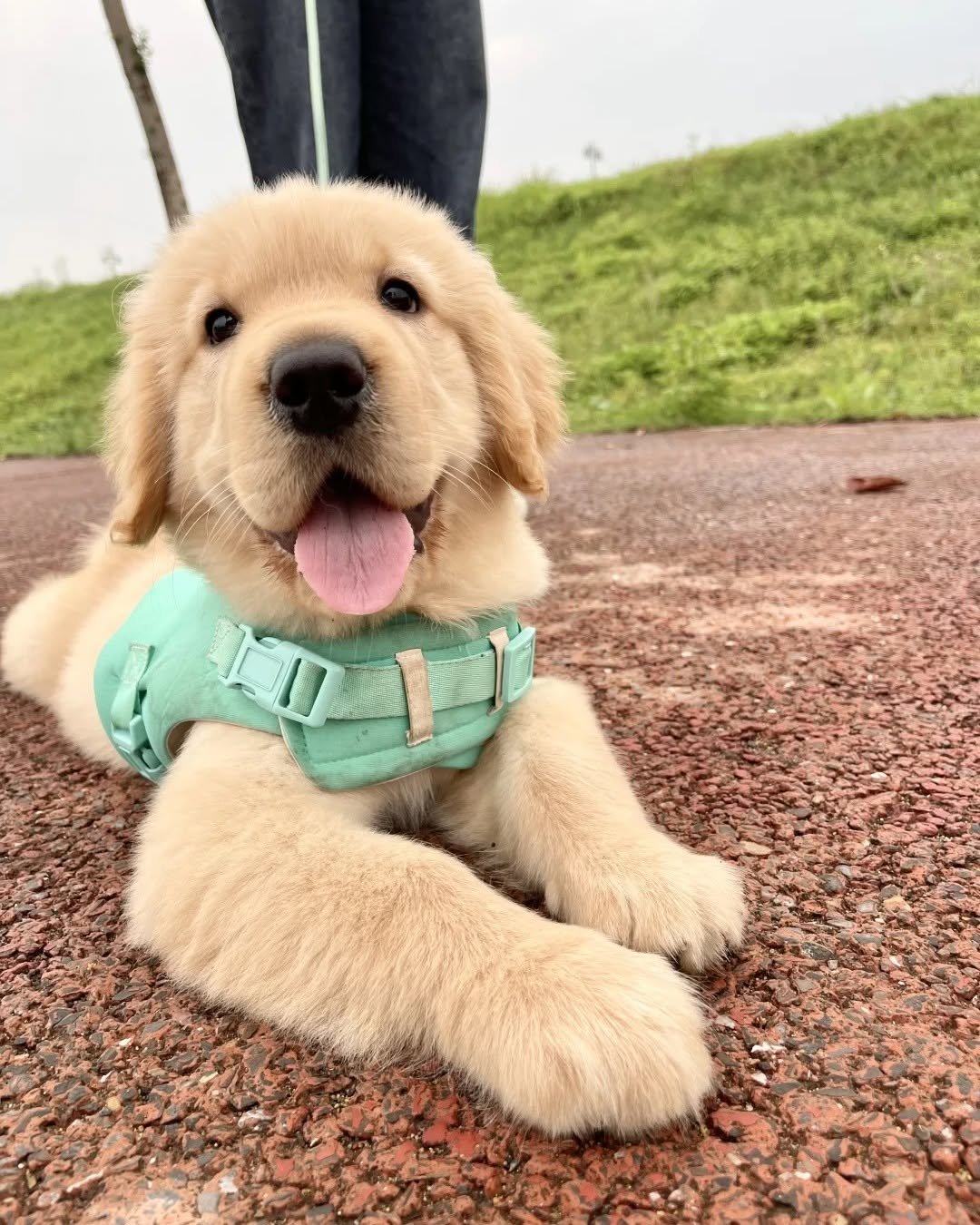 Photo by 룰루 on April 27, 2025.