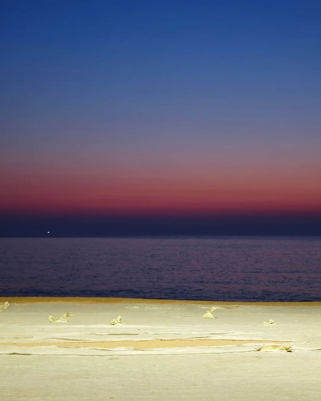 Photo by 룰루 on April 16, 2025.