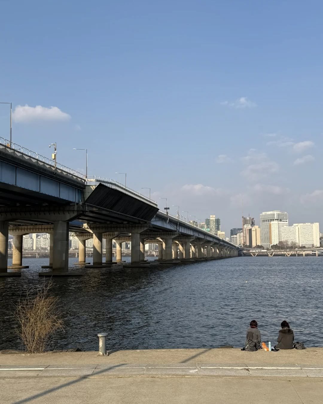 Photo by 룰루 on April 20, 2025.