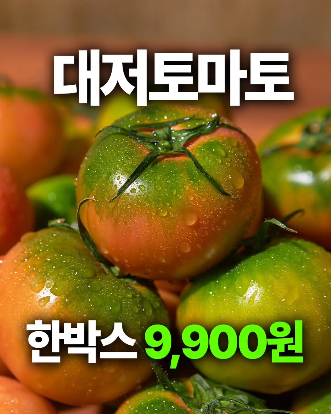 ssanta_grandma 게시물 이미지: 남은물량 얼마없어요~
대저토마토 한 박스 9,900원

부산 대저동에서만...
