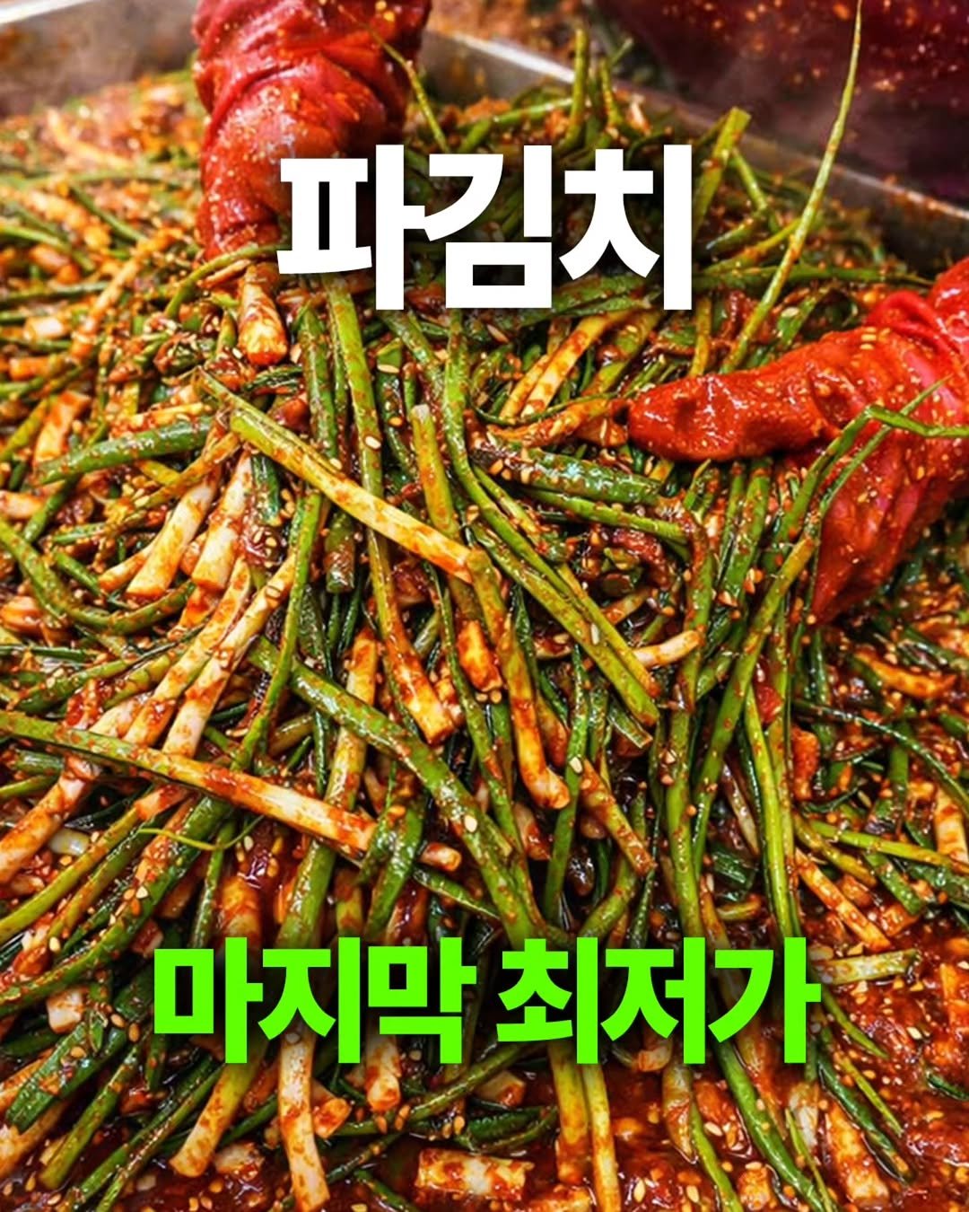 ssanta_grandma 게시물 이미지: 📢 5,000원 추가할인!
원조 파김치 마지막 최저가

어제까지 12,900원...