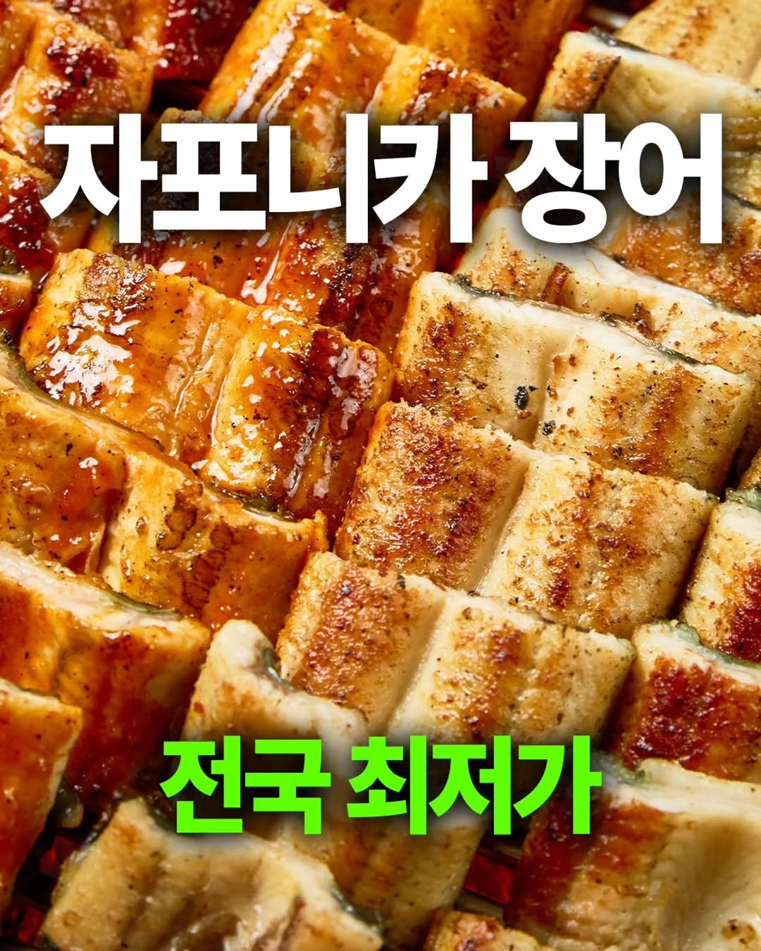 ssanta_grandma 게시물 이미지: 🎅민물장어 진짜 싸게 들어왔어요~

1월 행사 때 완판됐던
자포니카 민물장어...