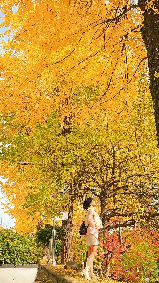 sshoosam 게시물 이미지: 🤚손은 하루 종일 나를 대신해서 닿아요.
그래서 씻는 순간부터 부드러워야...