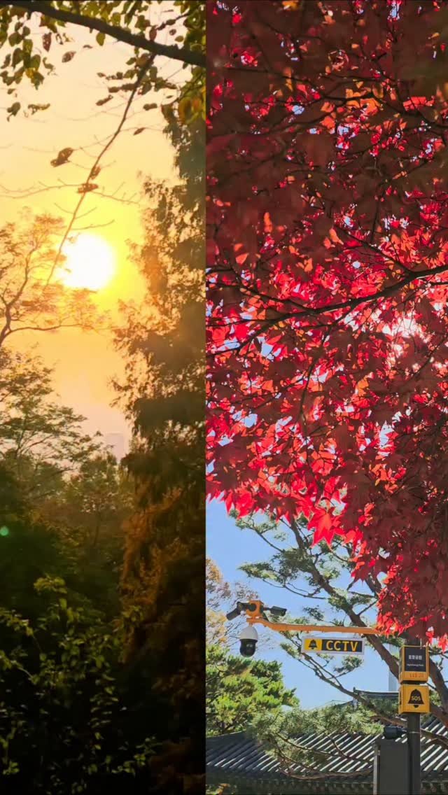 sshoosam 게시물 이미지: 가을철 건조한 피부관리 잘하고 계시죠?♡

#가을만끽#가을하늘 #단풍구경 #매일산책