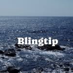 blingtip 프로필 사진