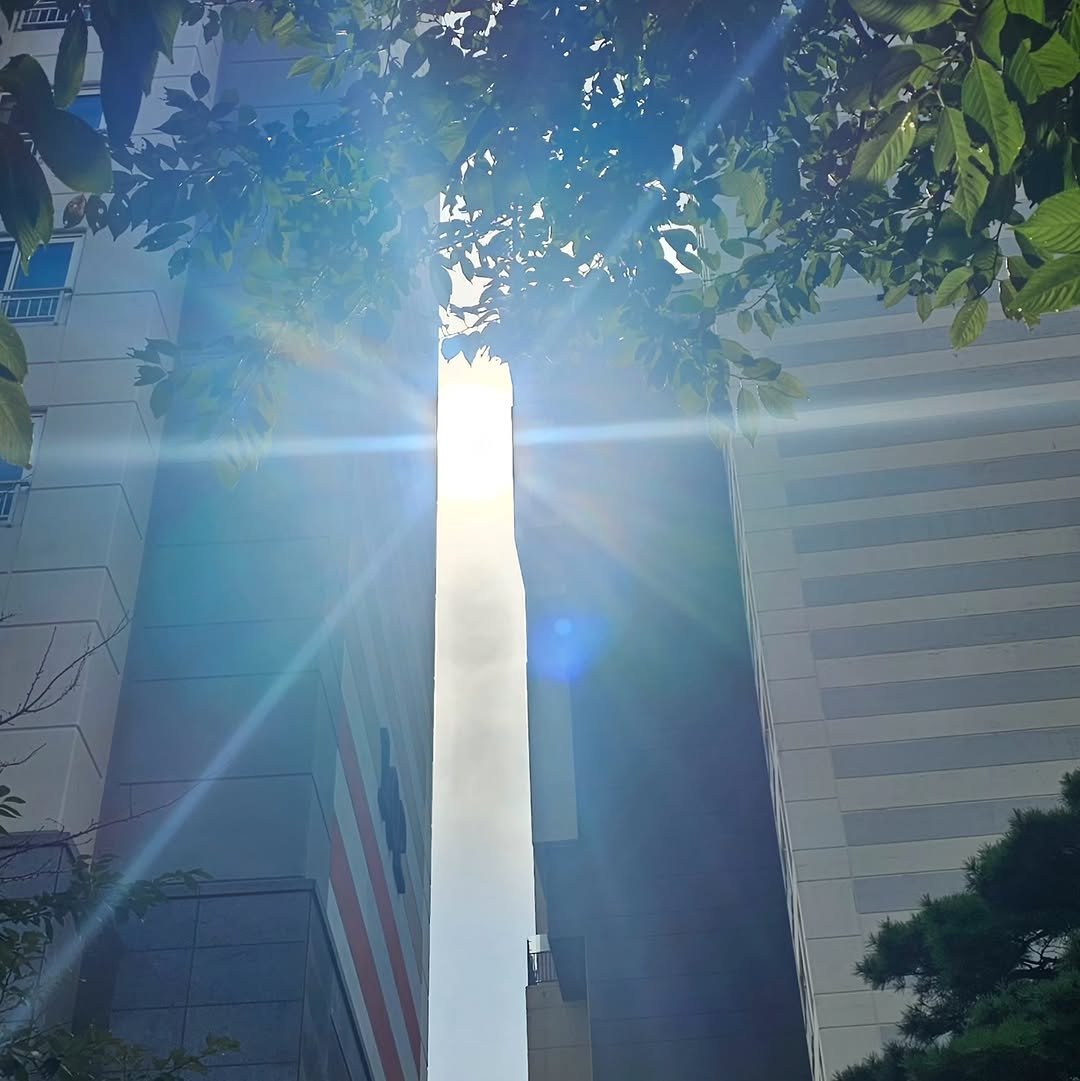 Photo by 슈쌤 on September 03, 2025. May be an image of skyscraper, tower, buildings and text.