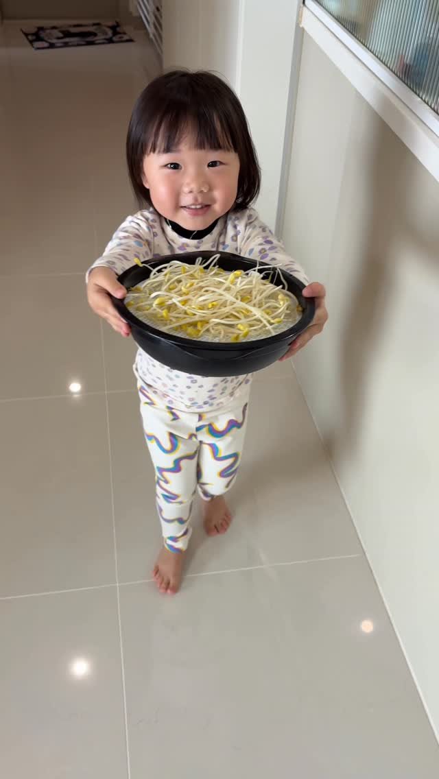 ssilver_mouse 게시물 이미지: 어린이집에서 받은 콩나물키우기 키트...🌱
콩에 물을 너무 많이줘서...