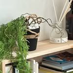 origin.m0ru 프로필 사진