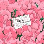 clumsy_my_archive 프로필 사진