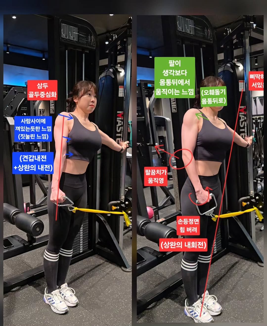 sso_oah 게시물 이미지: [내전감각은 무엇인가]
[겨드랑이에서 느꼈던 느낌은 무엇인가]

액와(겨드랑이)는...