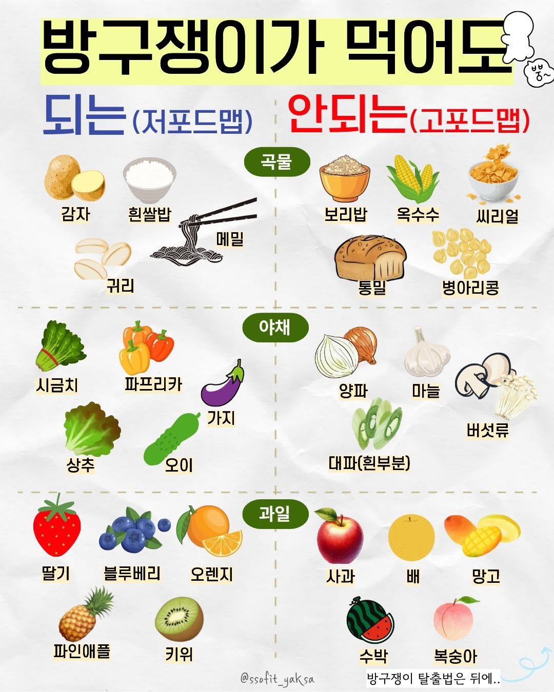 Photo by 쏘핏 소 윤ㅣ건강꿀팁, 활력, 염증타파 on February 18, 2026. May be an image of ‎tofu, vegetable, poster and ‎text that says '‎방구쟁이가 먹어도 되는 되는(저포드맵) (저포드맵) 안되는 안되는(고포드맵) (고포드맵) 곡물 감자 흰쌀밥 ح 귀리 보리밥 메밀 옥수수 씨리얼 통밀 야채 병아리콩 시금치 파프리카 가지 양파 마늘 상추 오이 버섯류 대파(흰부분) 과일 딸기 블루베리 오렌지 사과 배 배 파인애플 망고 키위 @ssofit_ @ssofit_yaksa yaksa 수박 복숭아 방구쟁이 탈출법은 뒤에..‎'‎‎.